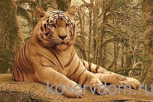 Ковер DA VINCI FAUNA Z902 BROWN Тигр